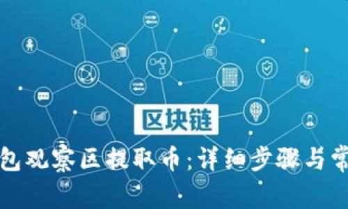 如何从TP钱包观察区提取币:详细步骤与常见问题解答