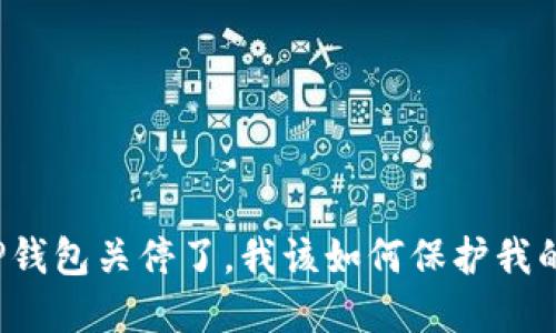 如果TP钱包关停了，我该如何保护我的资产？